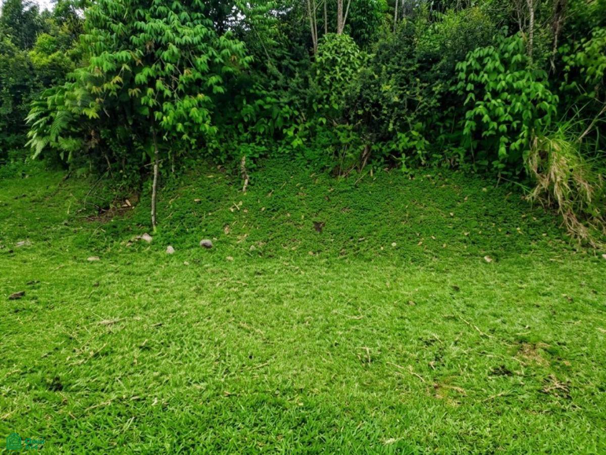 https://bt-photos.global.ssl.fastly.net/omni/orig_boomver_3_CR261171205-2.jpg