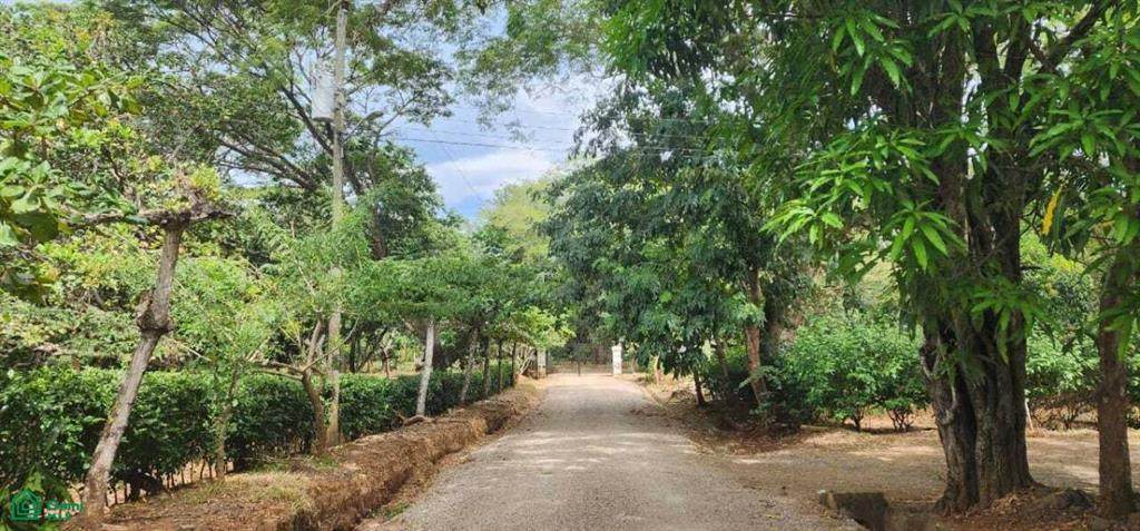  Address Not Published - Photo 1