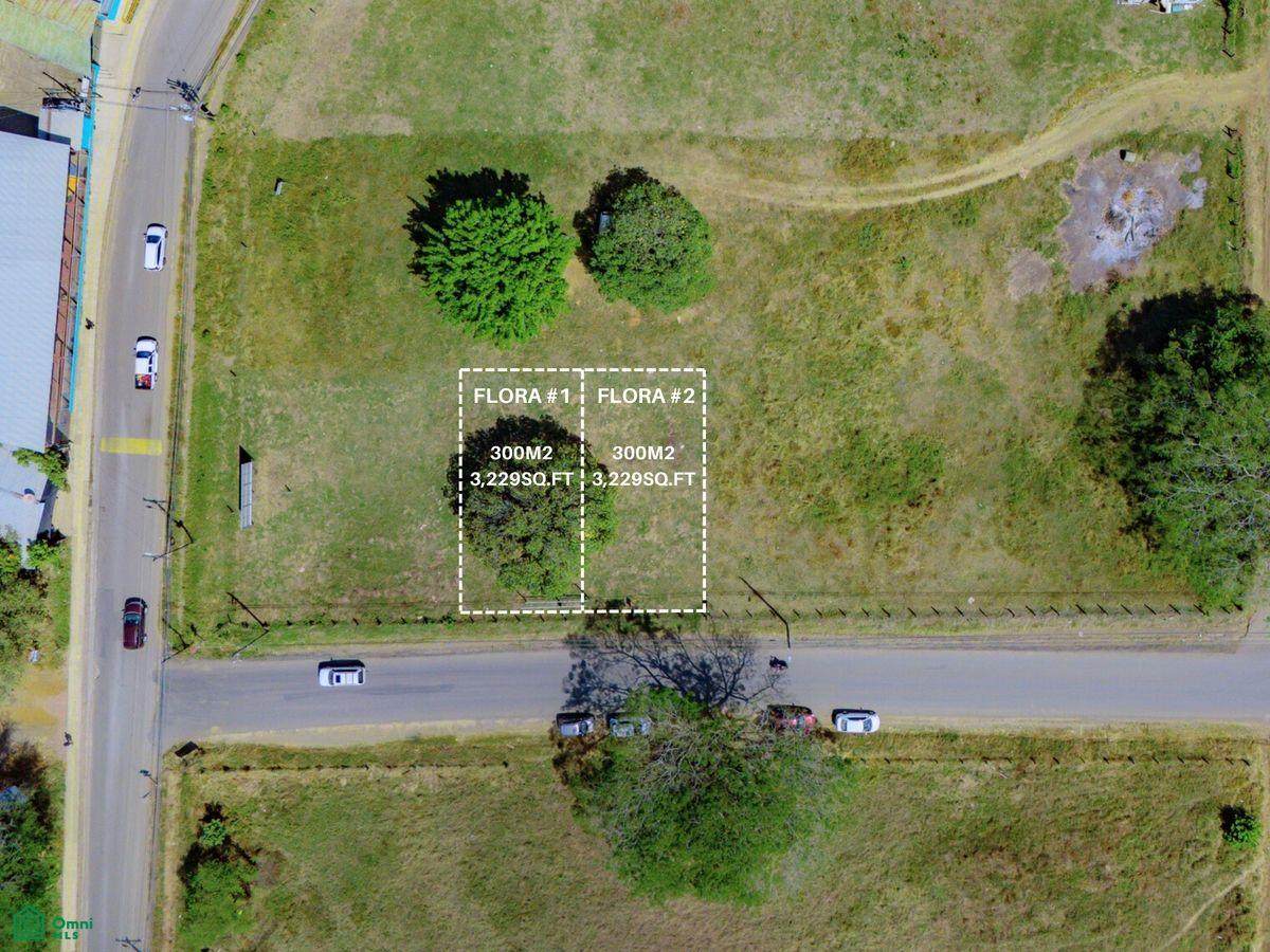 La Flora Coco Lot 2 Address Not Published - Photo 1