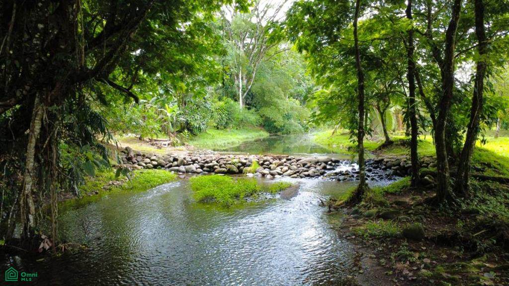 Finca 10 Los Angeles, Finca 10, De La iglesia Cat&oacute;lica 150 - Photo 1