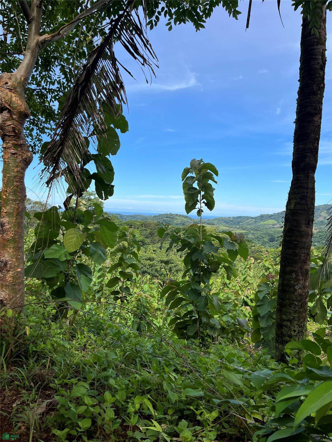 Finca Naranjalito Hills - Photo 1