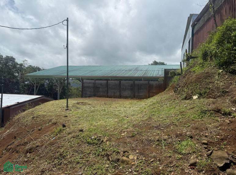  Cedral - Photo 1