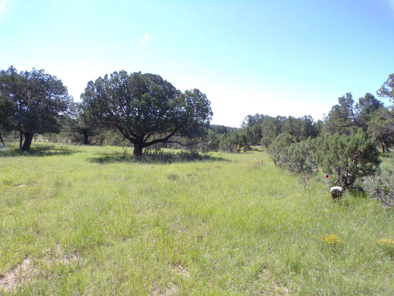 27 High Meadow Ln - Photo 1