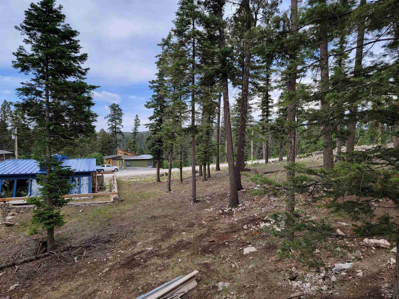 904 Julies Ln - Photo 1