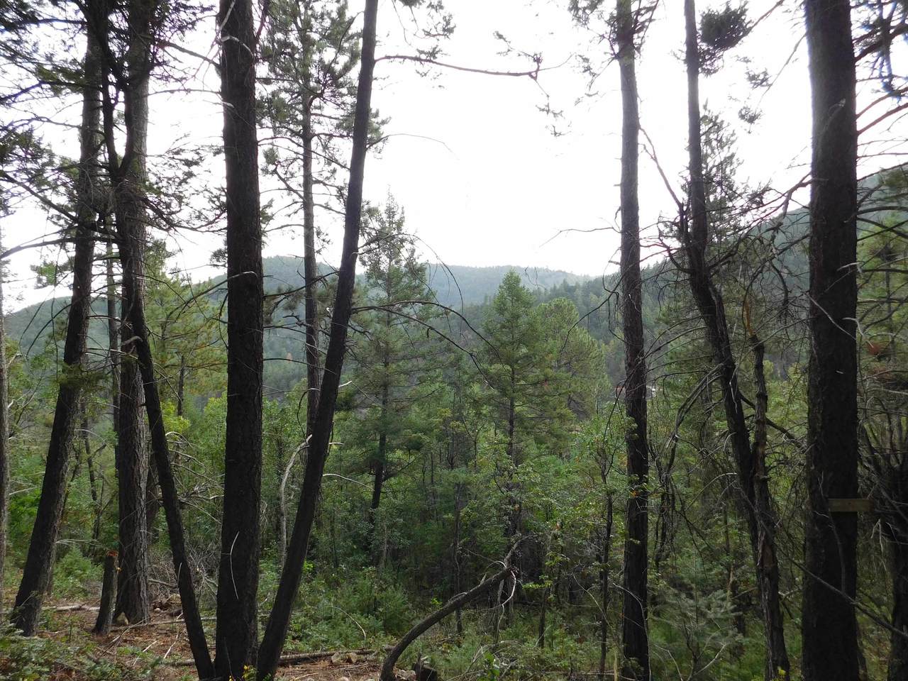 Devils Tower Ln - Photo 1