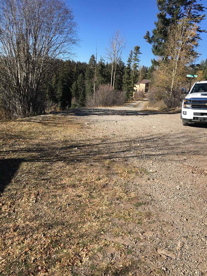 Big Bear Dr - Photo 1