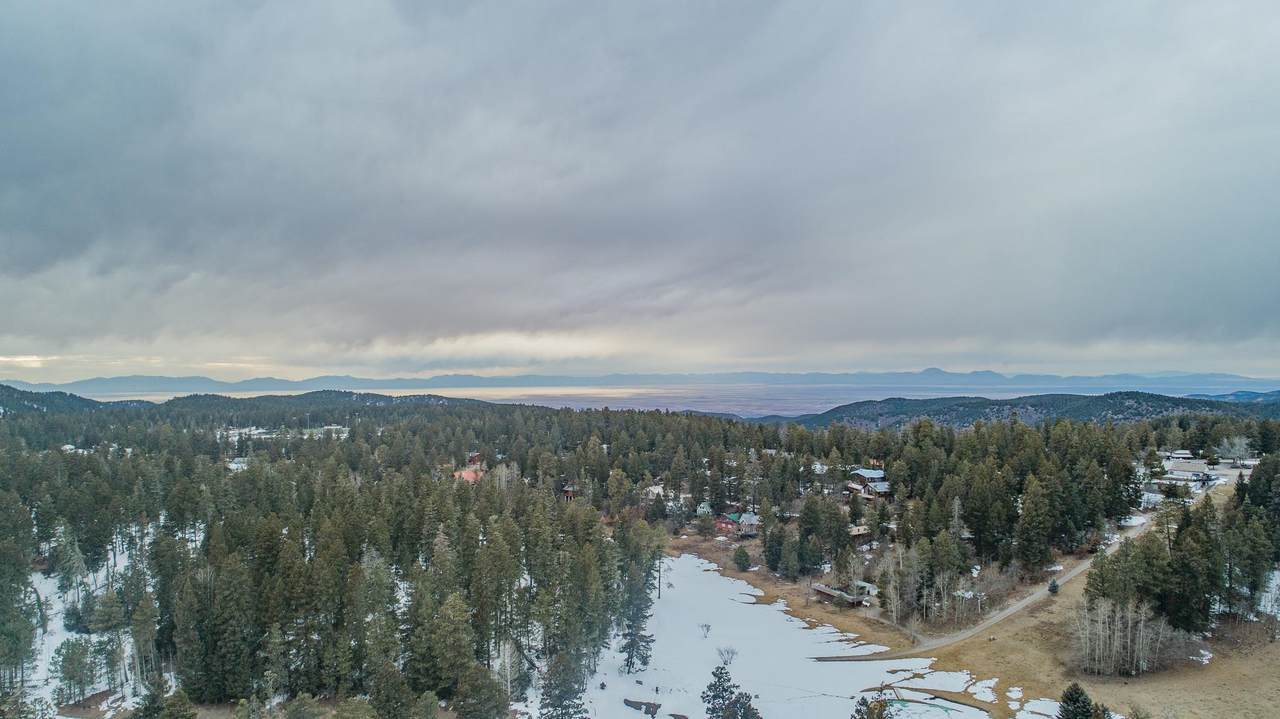721 Little Bear - Photo 1