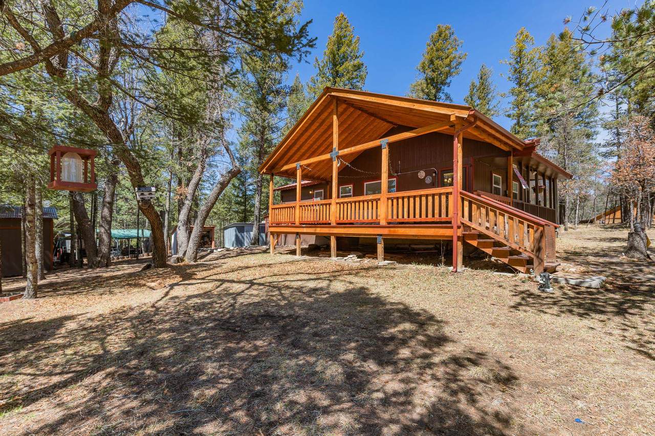 32 Big Tree Ln - Photo 1