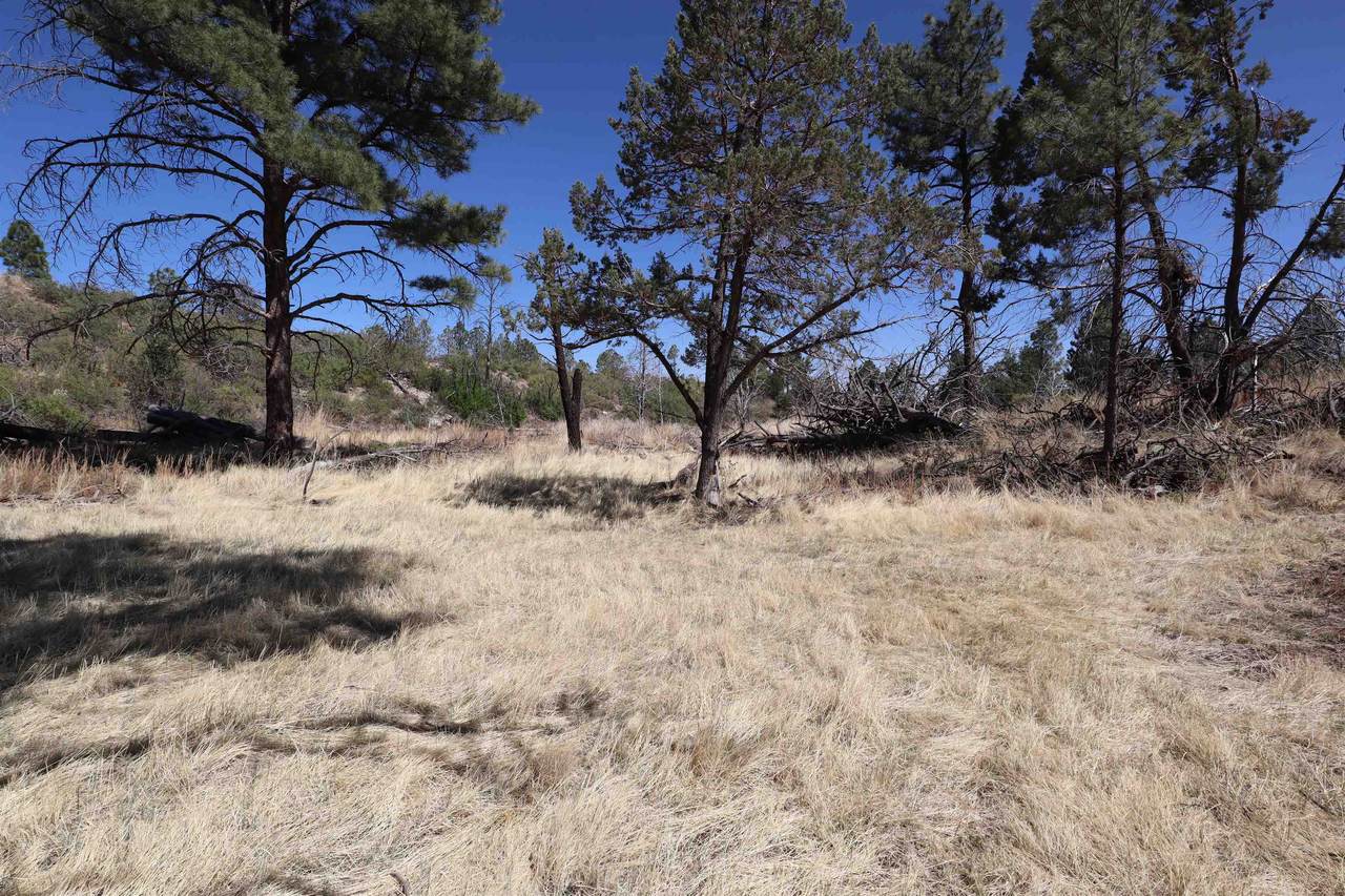 Pawhuska Dr - Photo 1