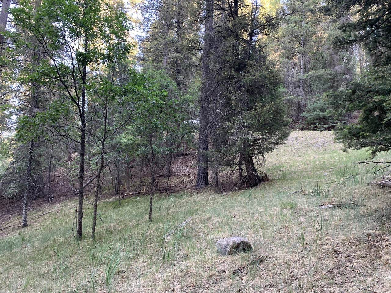 110 Wimsatt Loop - Photo 1