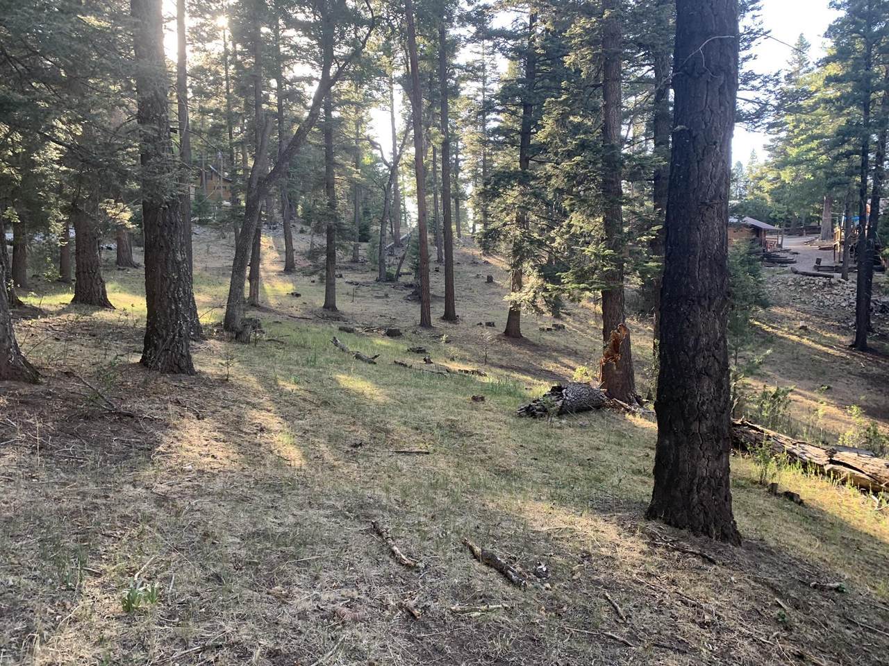 59-60-61 Canyon Trl - Photo 1