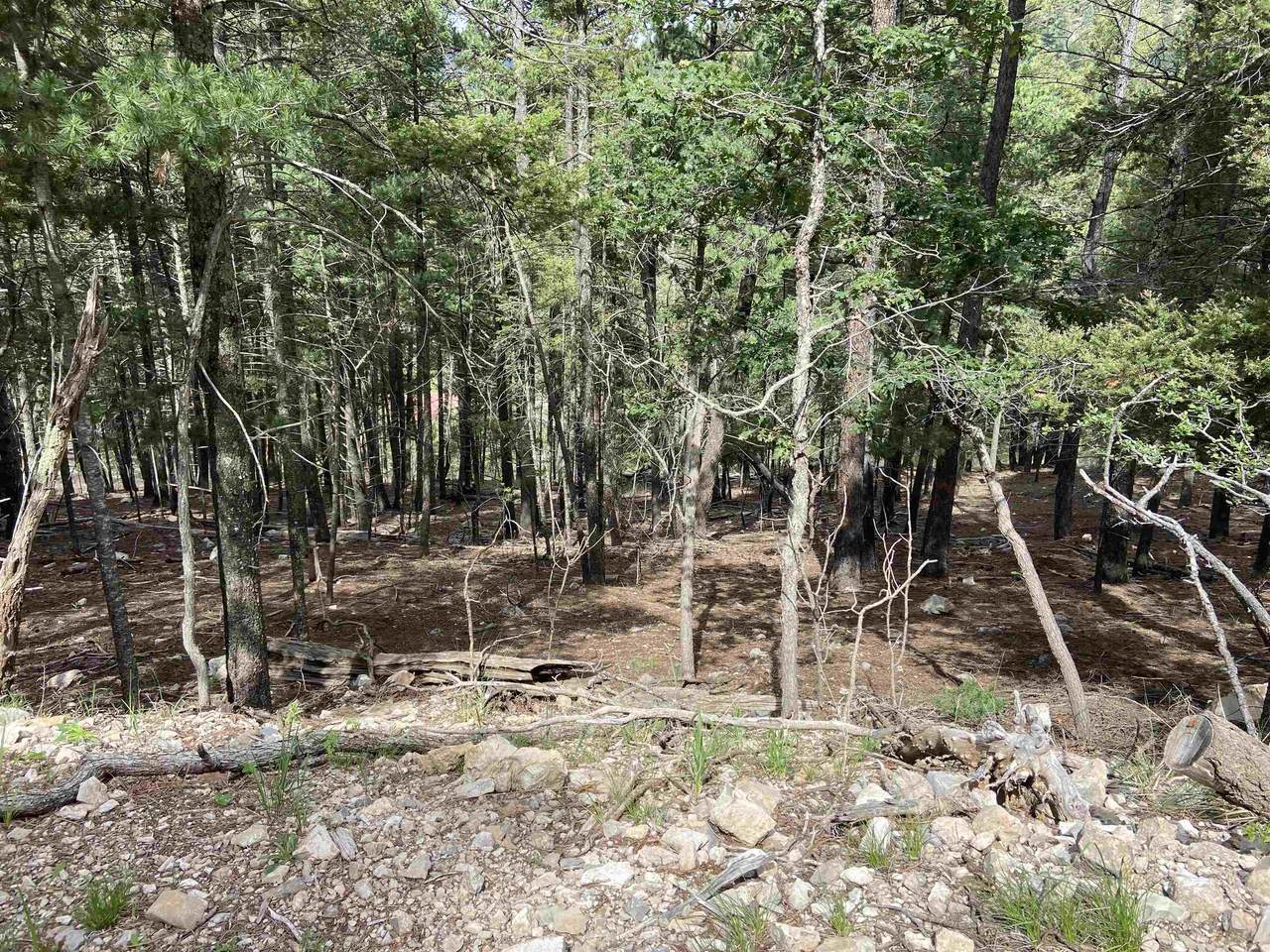 Deer Spring Rd - Photo 1