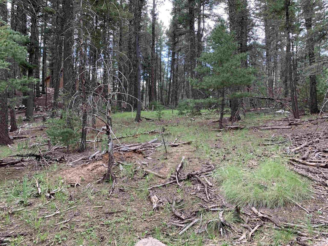 Bear Spring Rd - Photo 1