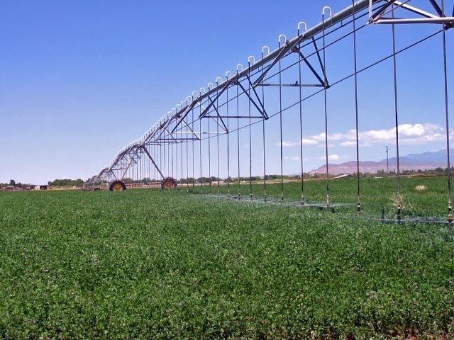 10 Pecos Rd - Photo 1