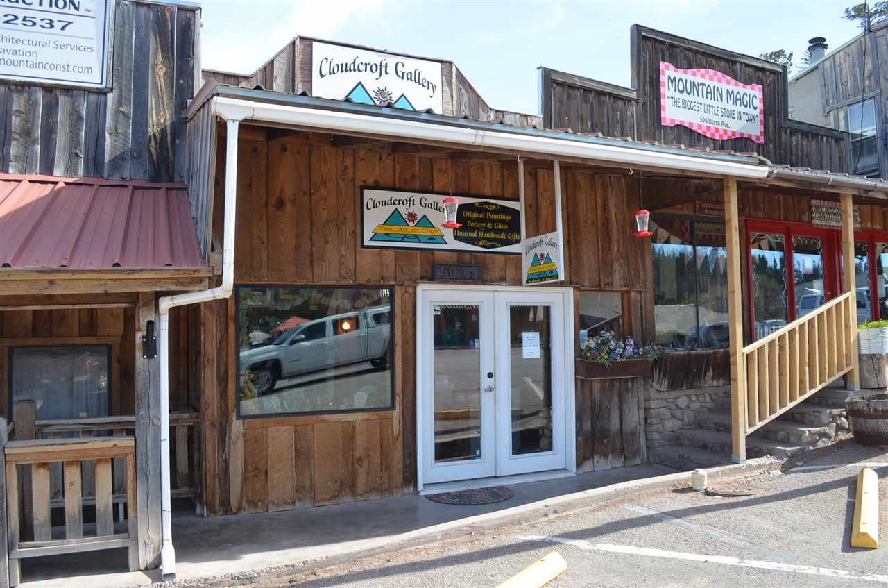 502A Burro Ave - Photo 1