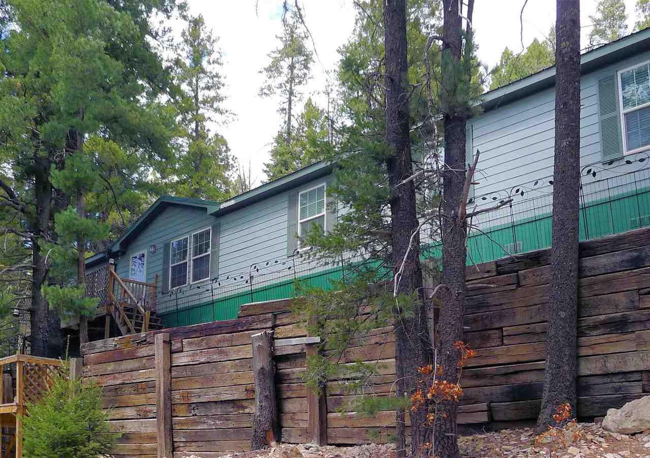 54 Pine Trl - Photo 1