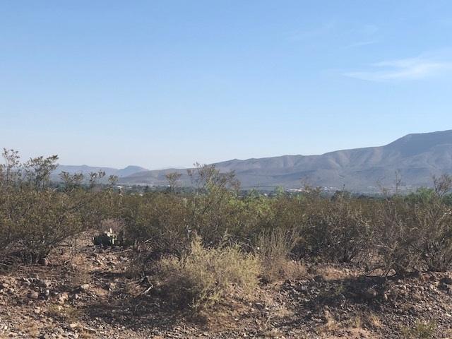 1919 Ocotillo Dr - Photo 1