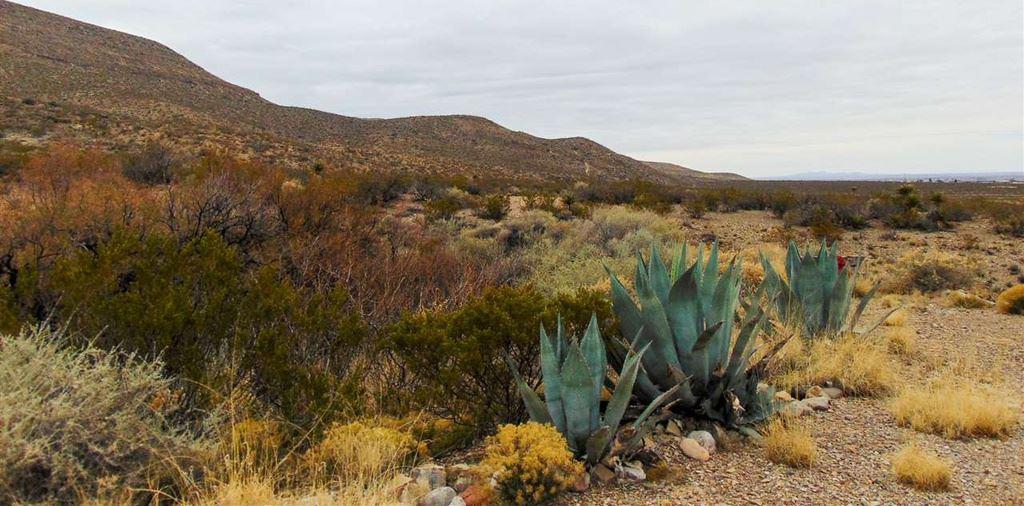 Lot 33 Canyon View Dr - Photo 1