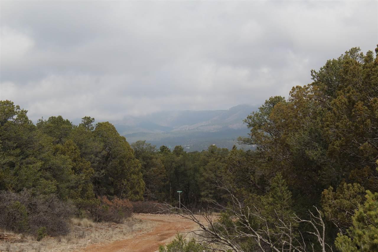 Lot 9 Mountainaire Dr - Photo 1
