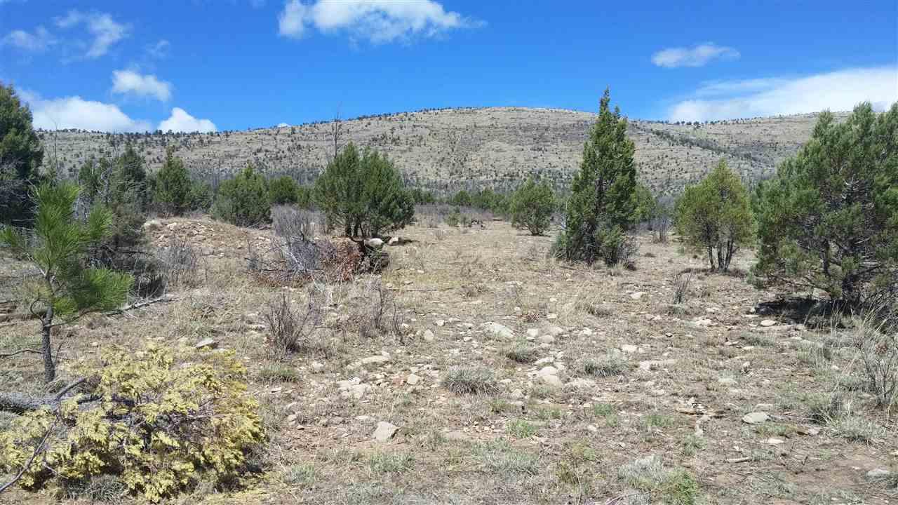 16 Springs Canyon Rd - Photo 1