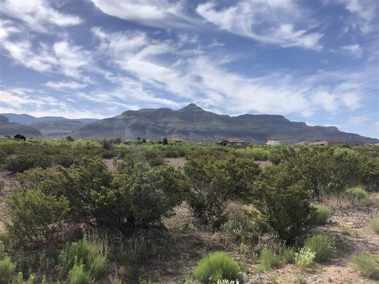 1300 Ocotillo Dr - Photo 1