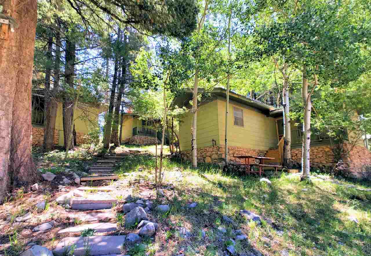 400 Columbine Blvd - Photo 1
