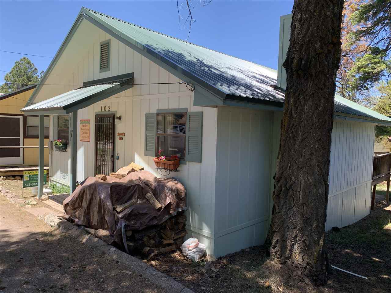 102 Squirrel Ave - Photo 1