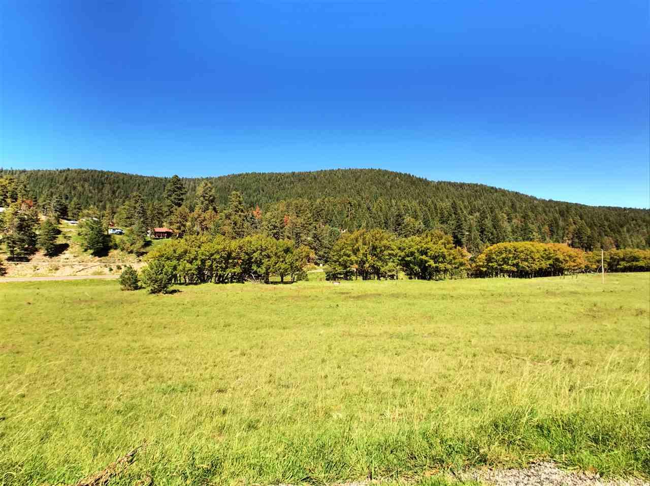 39 Elk Springs - Photo 1