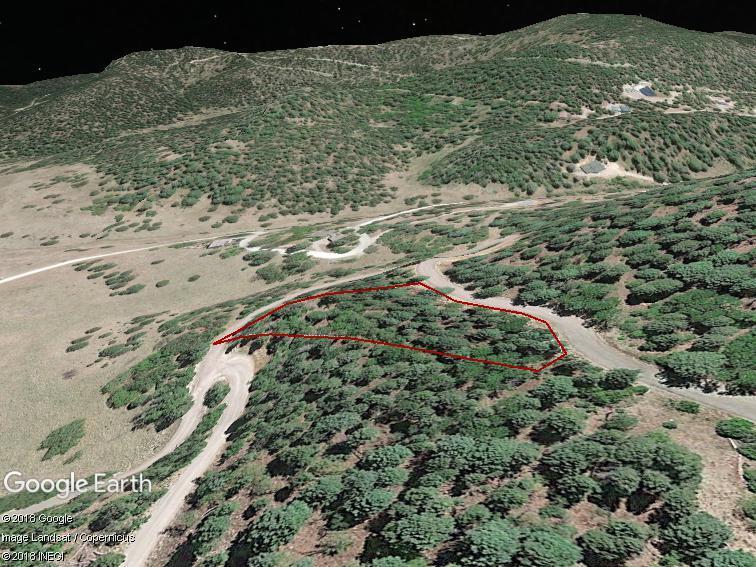 50 Elk Springs - Photo 1