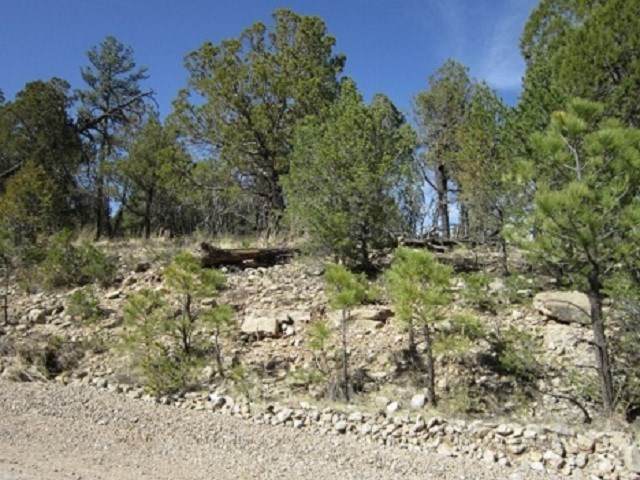 191 Bear Ln - Photo 1