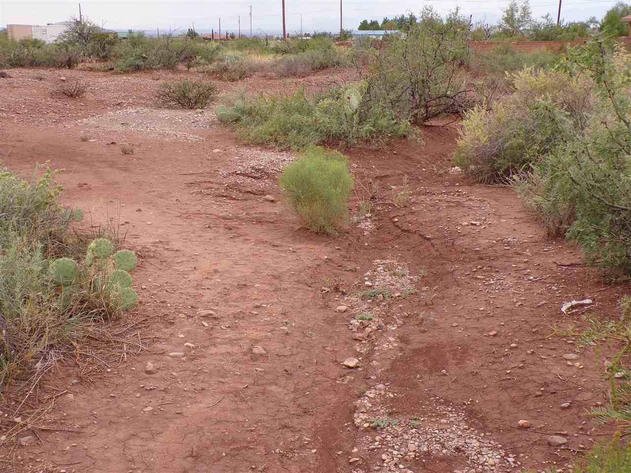 Lot 6 Calle Cadena - Photo 1