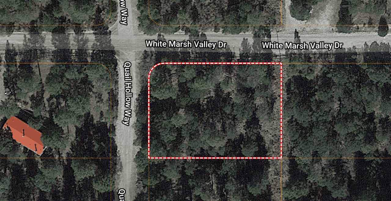 16 Whitemarsh Valley Dr - Photo 1