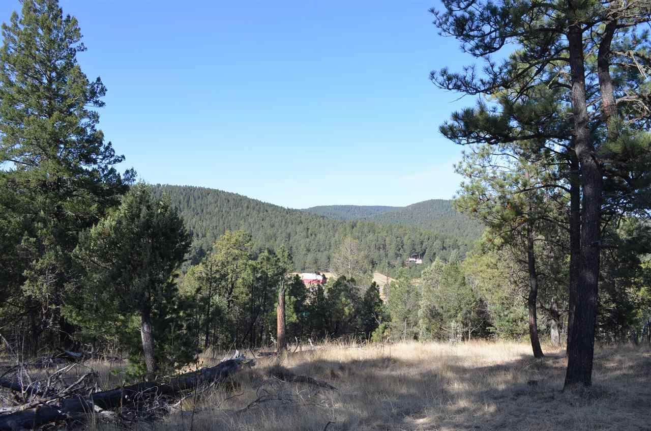Lot 1 Iron Gate Dr - Photo 1