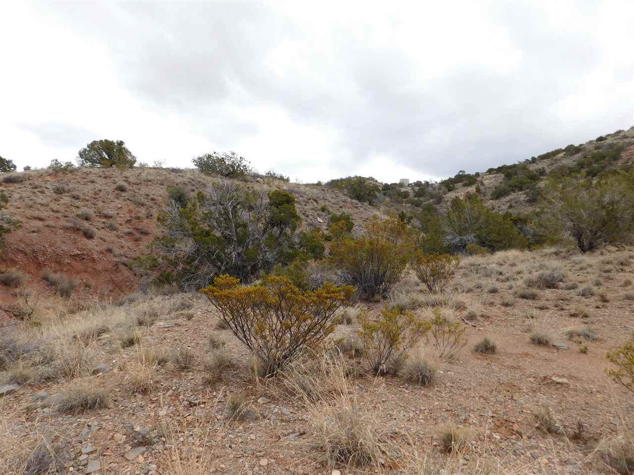 Fresnal Canyon Rd - Photo 1
