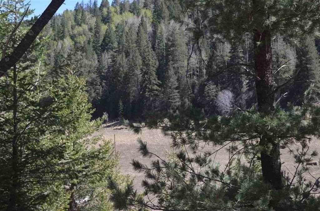 94 Pierce Canyon Rd - Photo 1