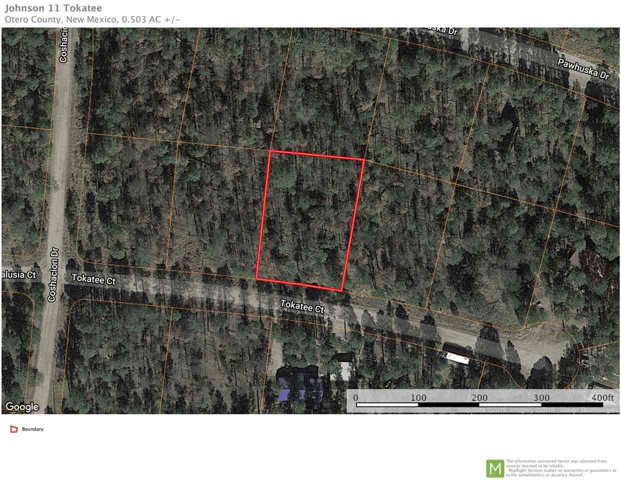 11 Tokatee Ct - Photo 1