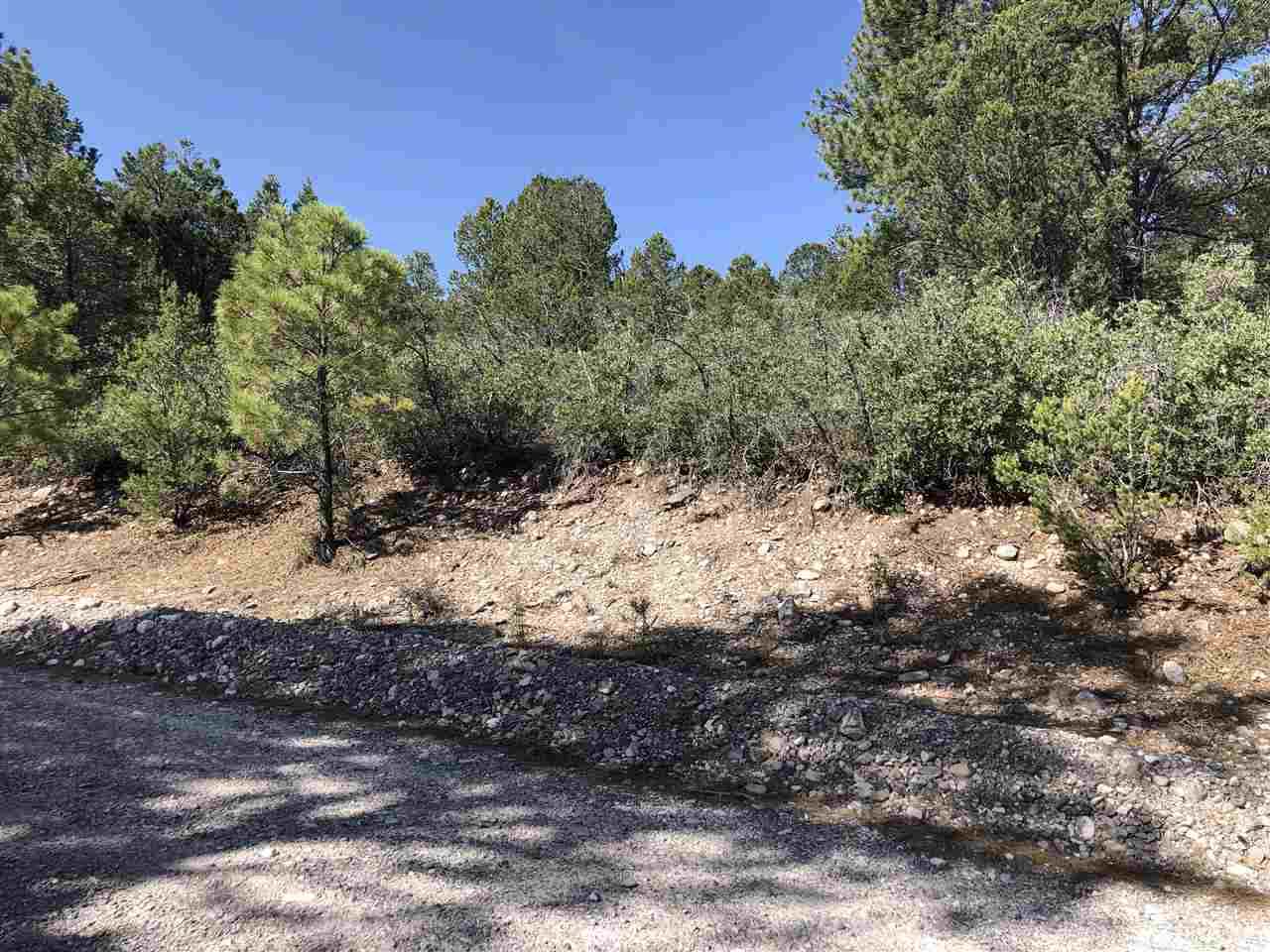 Cheyenne Dr - Photo 1