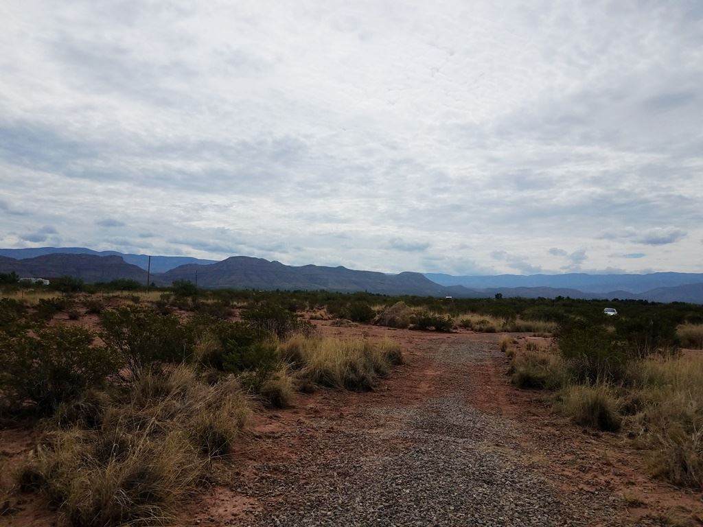 Rattlesnake Rd - Photo 1
