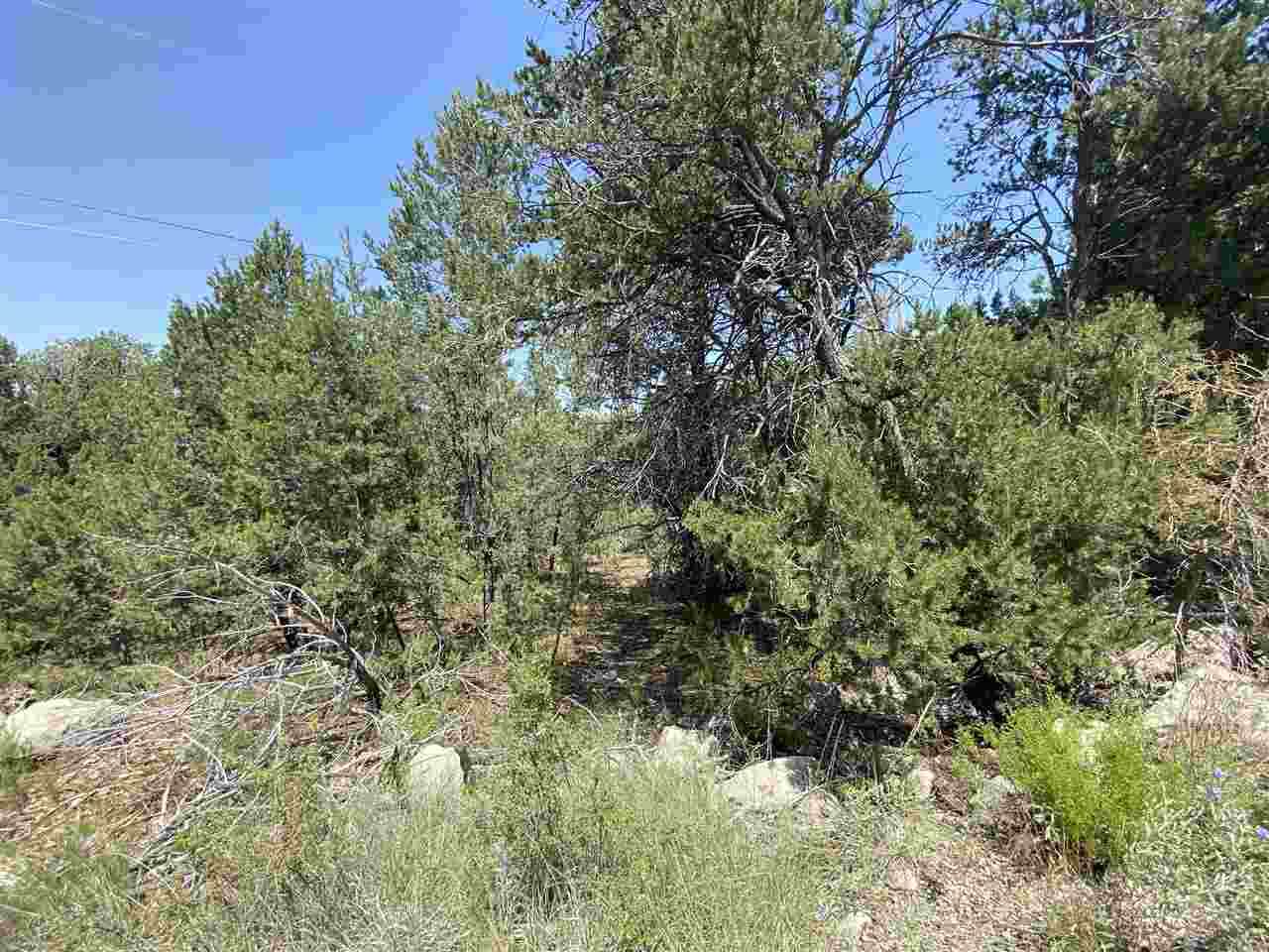 Lot 7A Chupadero Trl - Photo 1