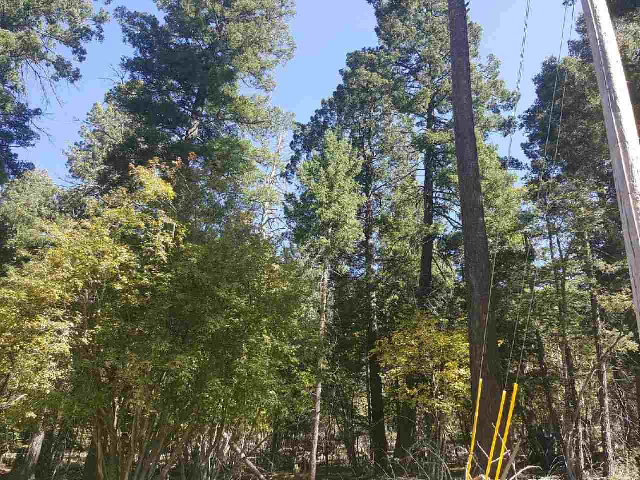 11 Woodlands Way - Photo 1