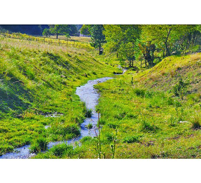 Upper Rio Penasco Rd - Photo 1