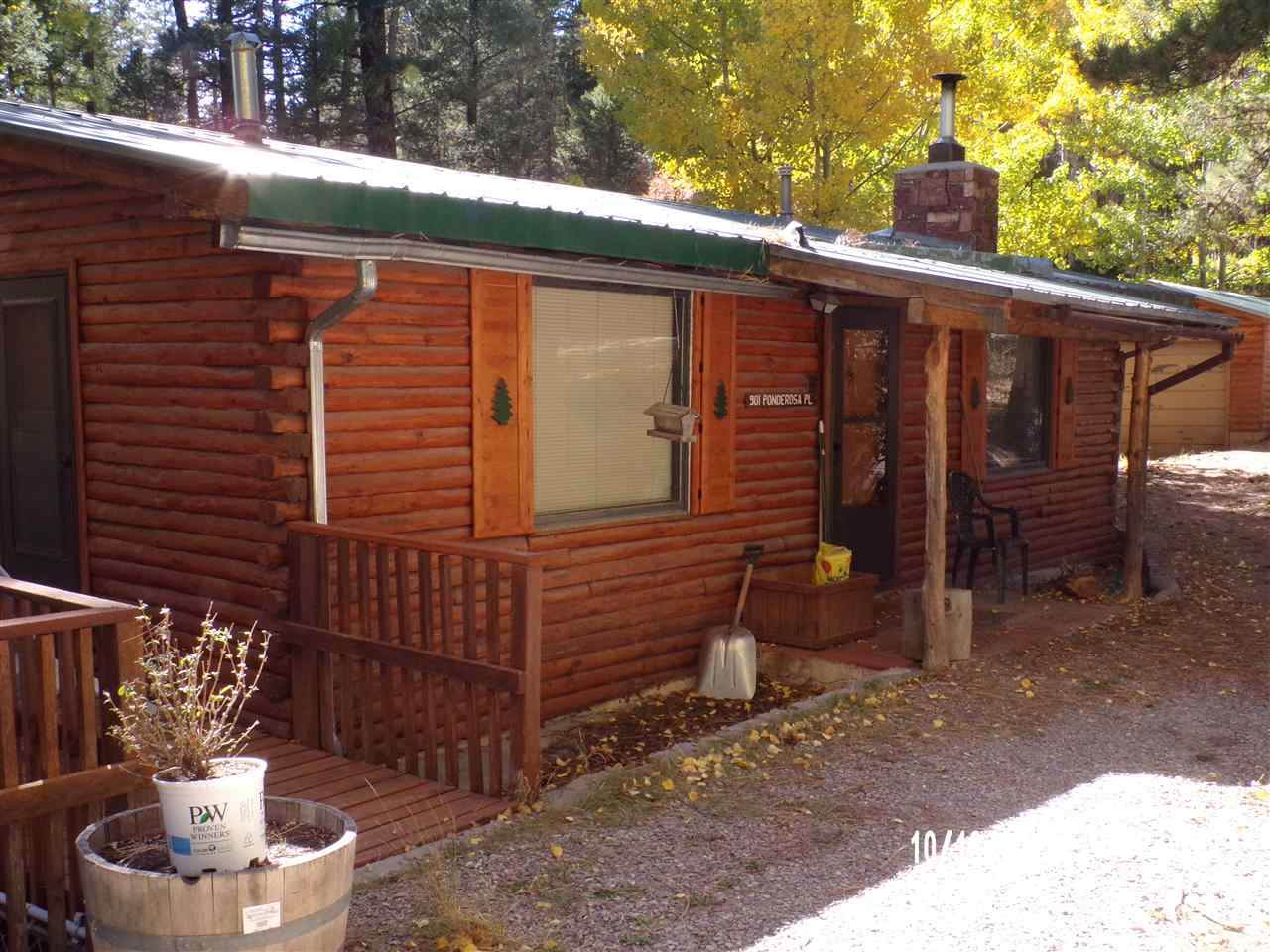 901 Ponderosa Pl - Photo 1