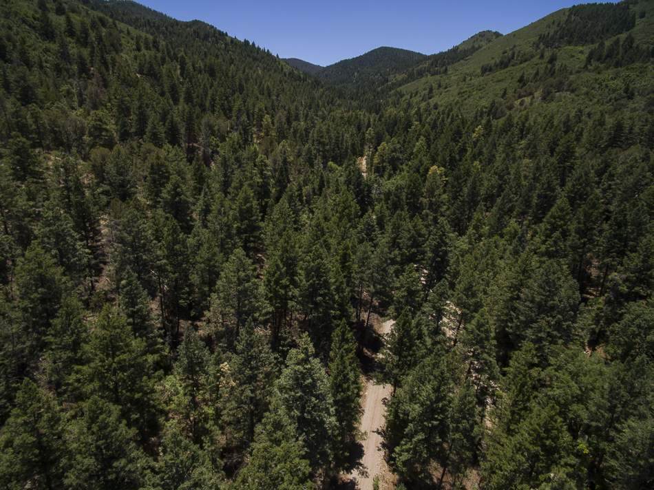 343 Karr Canyon Rd - Photo 1