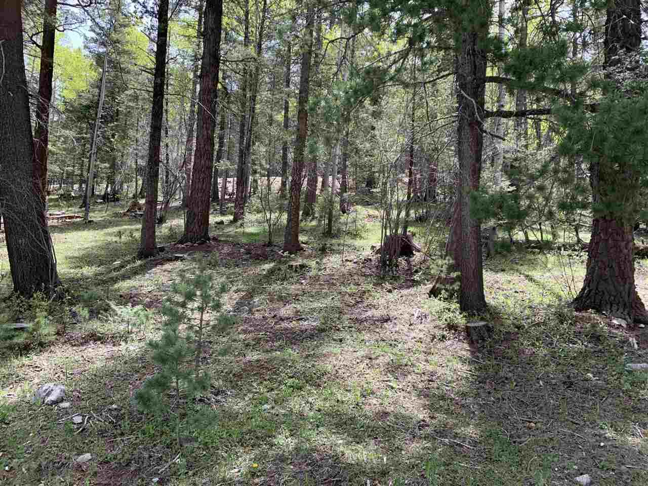 702 Columbine Blvd - Photo 1