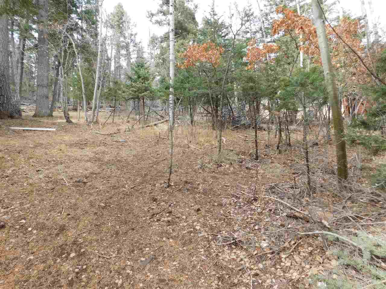 609 Sugar Pine Dr - Photo 1