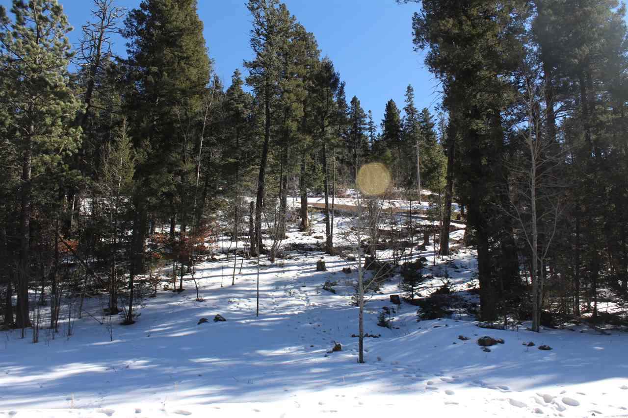 Lot 4 Big Bear Way - Photo 1