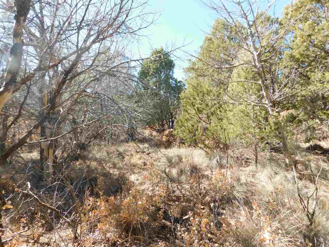 Pawnee Dr - Photo 1