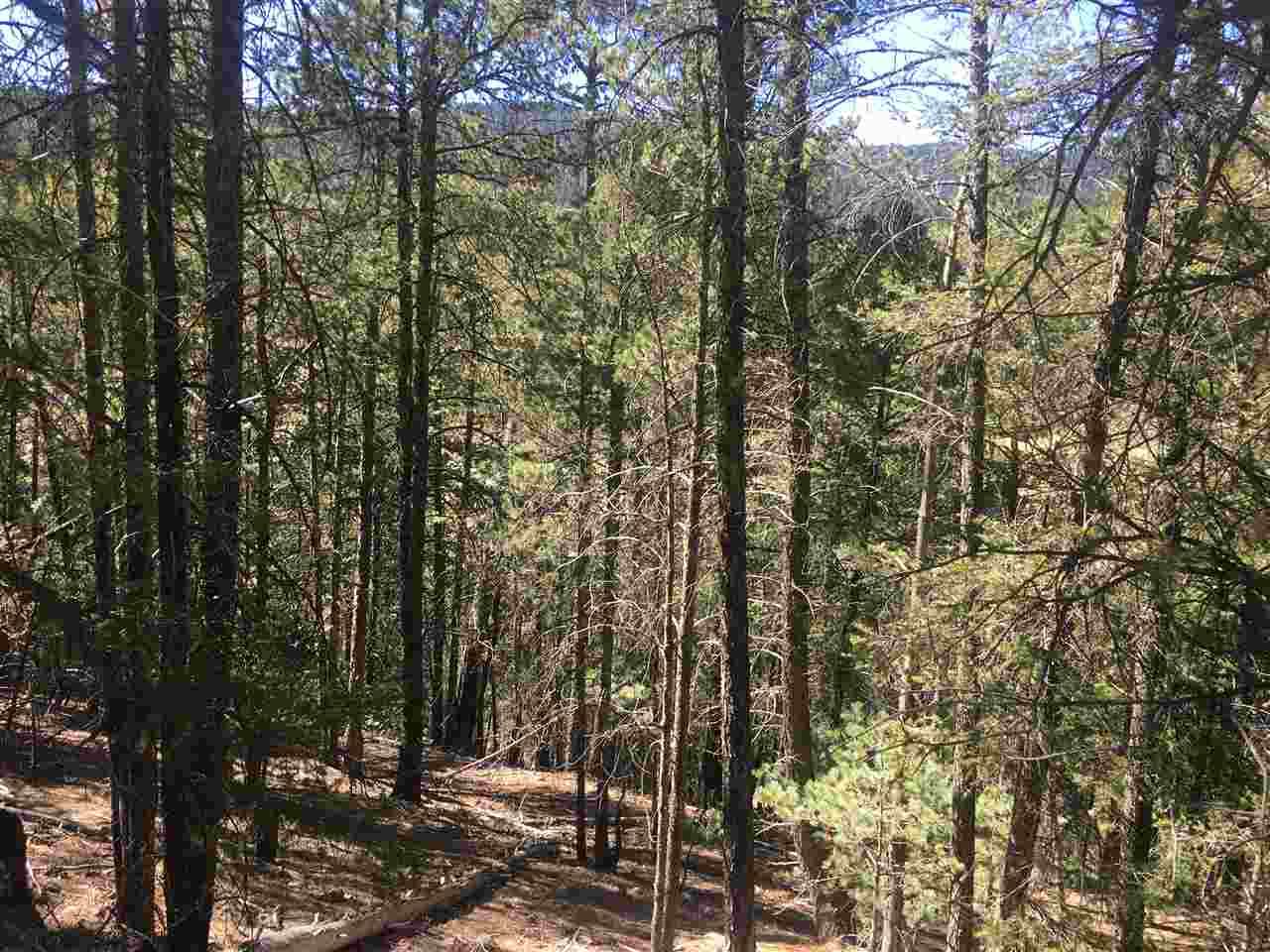 Dry Canyon Rd - Photo 1