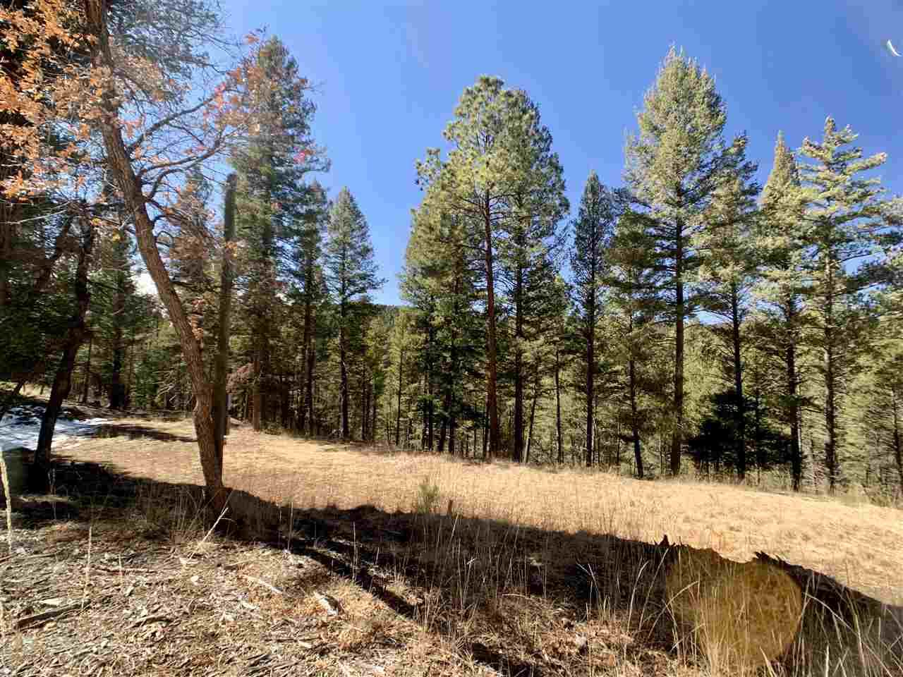 12 White Tail Pl - Photo 1