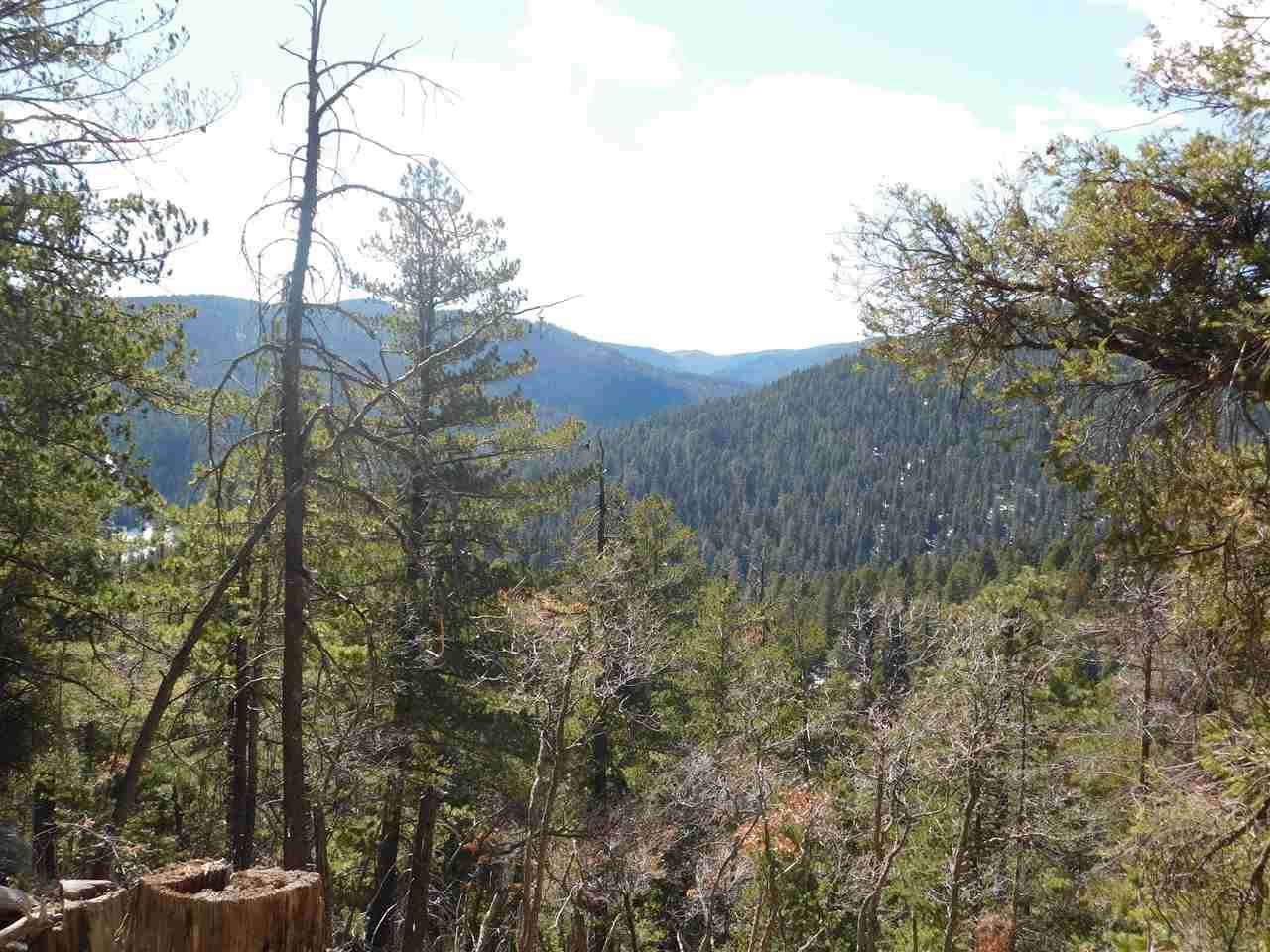 Ridgecrest Dr - Photo 1